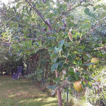 דורדרכט Huis Bij De Catalpa מראה חיצוני תמונה