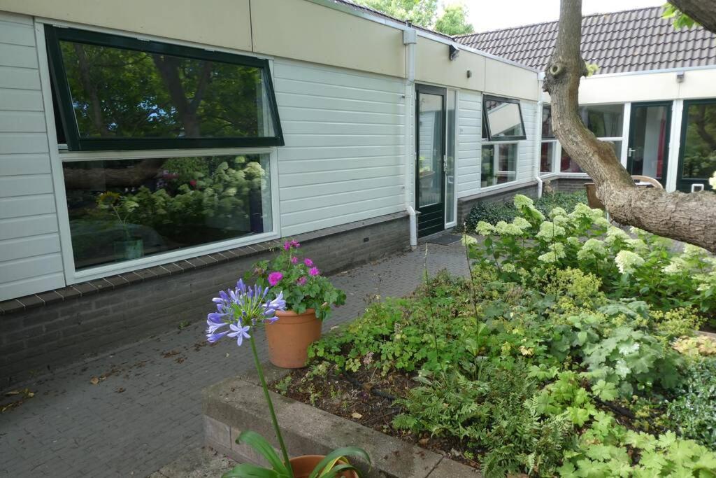 דורדרכט Huis Bij De Catalpa מראה חיצוני תמונה